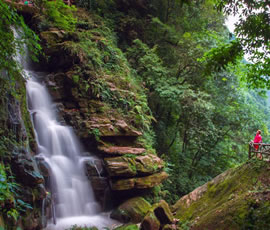 碧峰峽、上里古鎮(zhèn)二日游