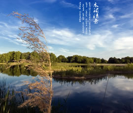 新義水鄉(xiāng)中醫(yī)藥浴康養(yǎng)、黃龍溪古鎮(zhèn)二日游