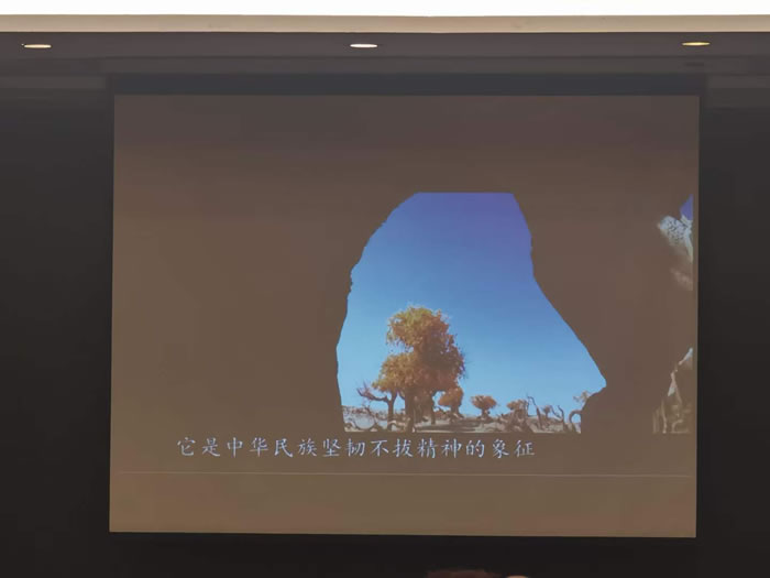 綿陽中旅行假日旅行社舉行胡楊林、南疆專列推薦會(huì)