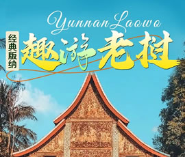 【趣游老撾 · 經(jīng)典版納】—昆明、普洱、西雙版納、磨丁、瑯勃拉邦四動8日游